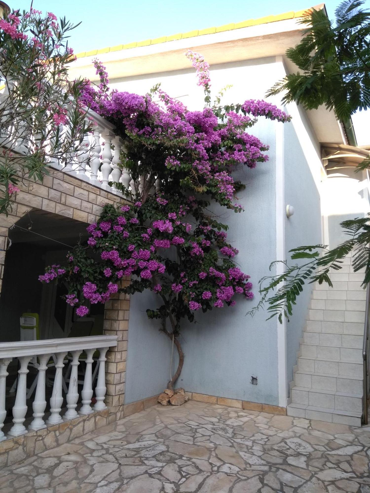 Apartmani Korade Vir Dış mekan fotoğraf