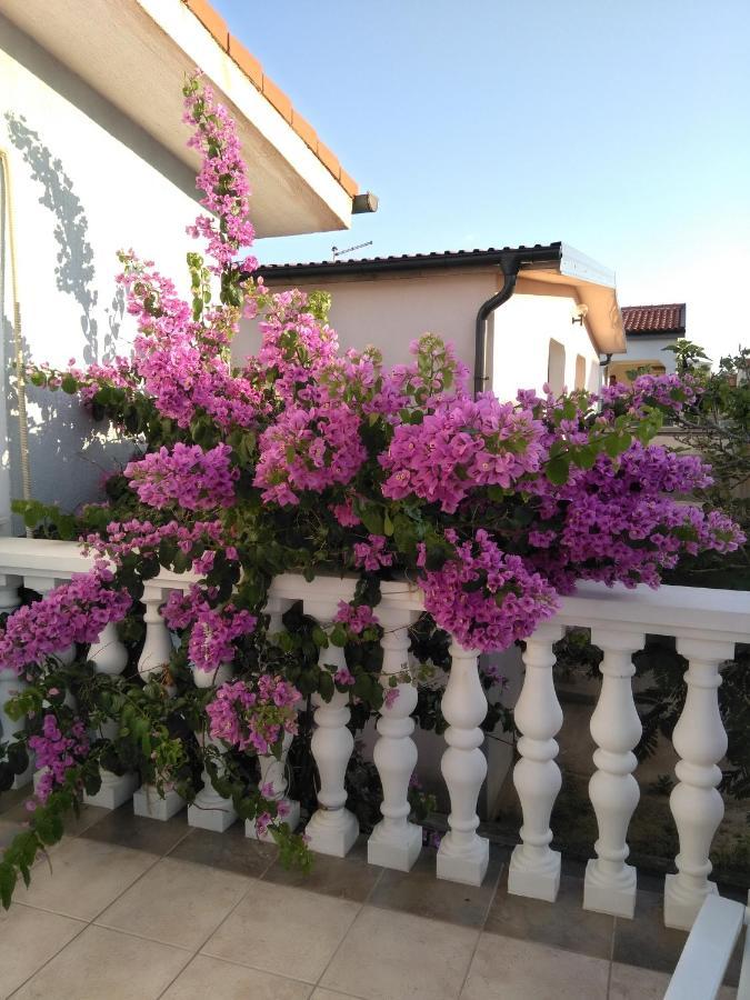 Apartmani Korade Vir Dış mekan fotoğraf